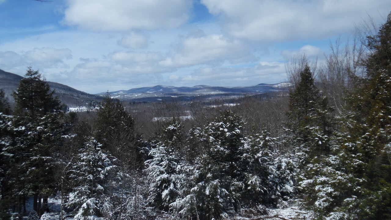 Photo of Others in Hensonville