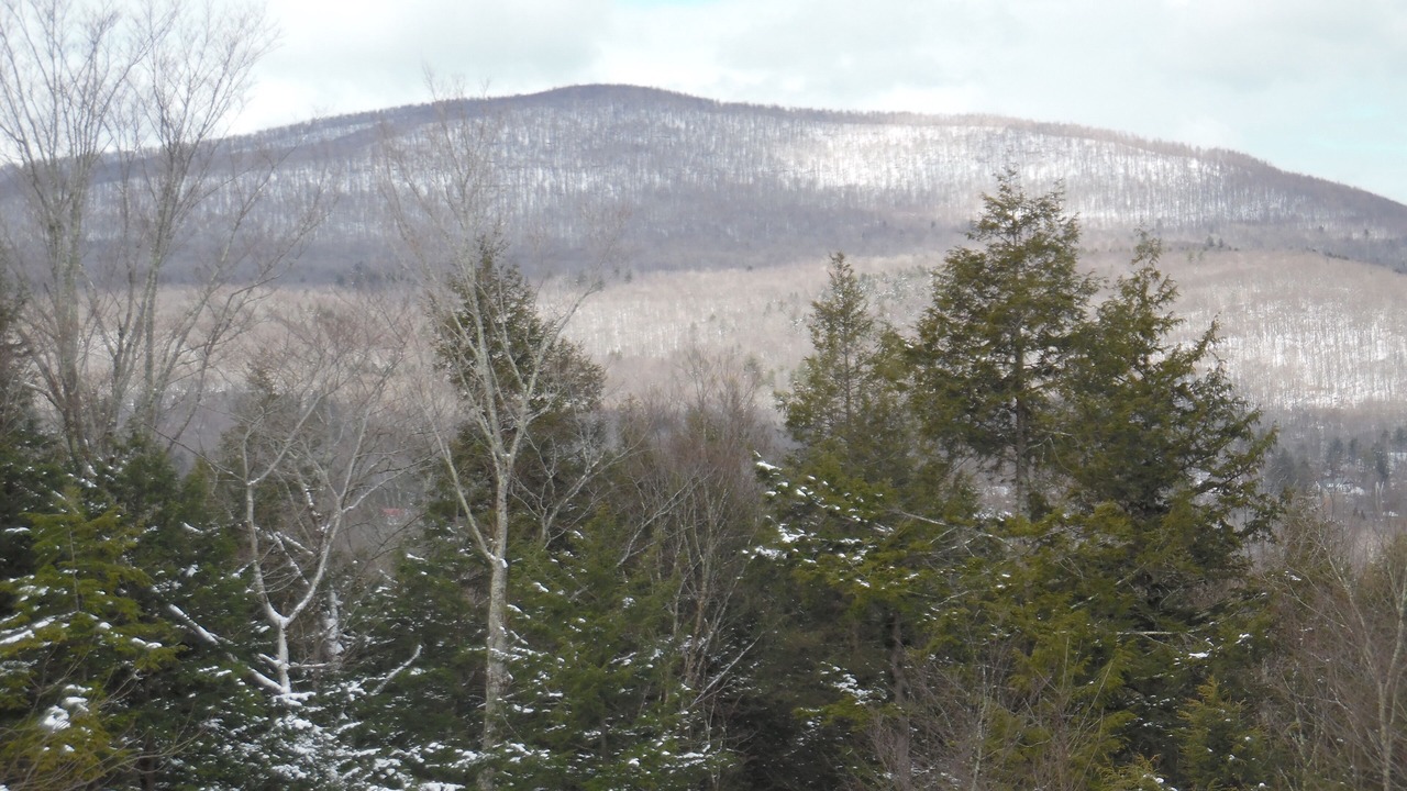 Photo of Others in Hensonville