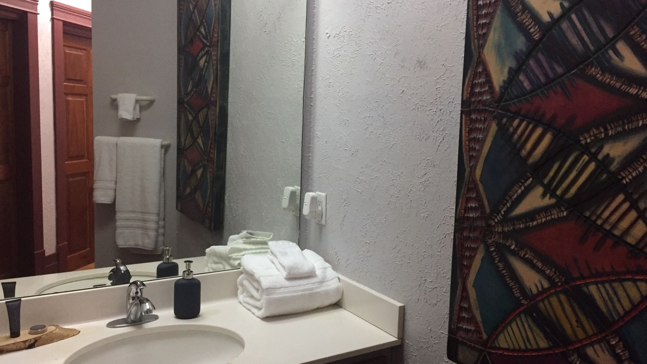 Photo of Bathroom in Eureka Springs Historic District