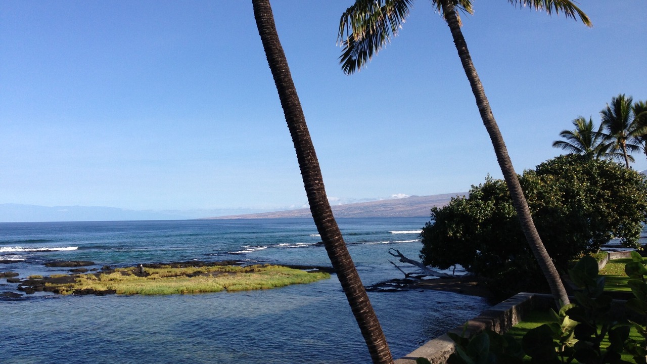 Photo of Others in Kamuela