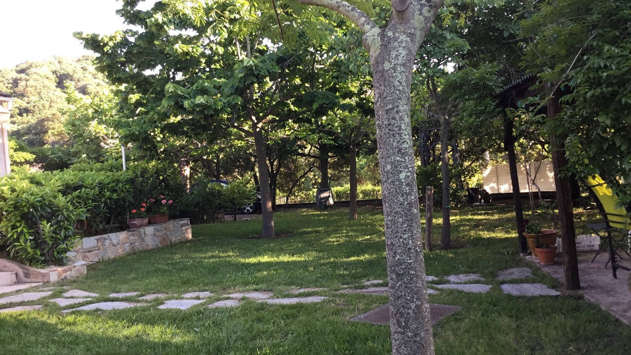 Photo of Outdoor in Patrimonio