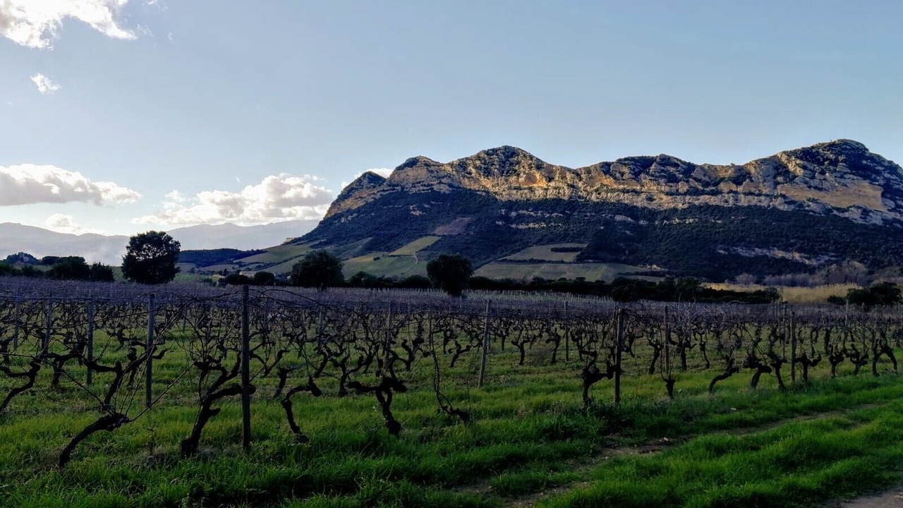 Photo of Outdoor in Patrimonio