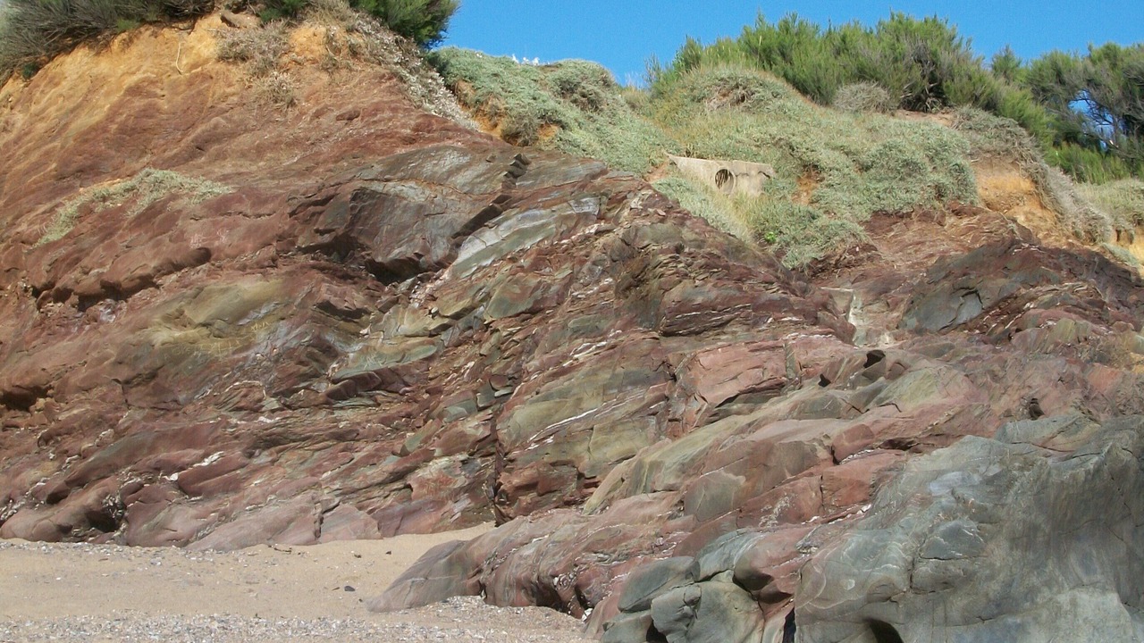 Photo of Others in Bretignolles-sur-Mer