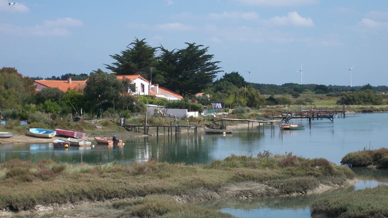 Photo of Others in Bretignolles-sur-Mer