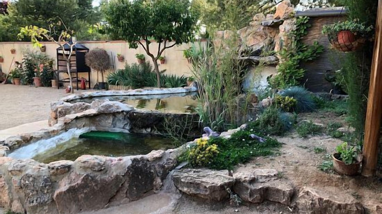 Photo of Outdoor in Casas de Benitez
