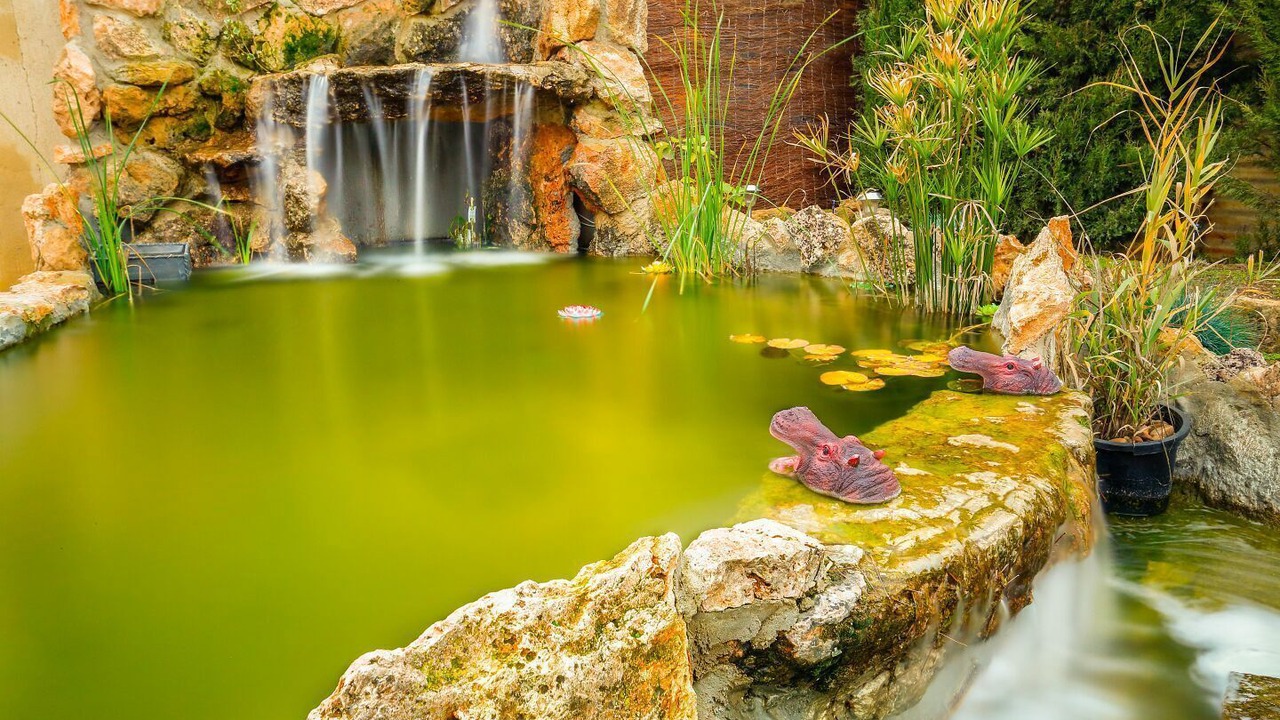 Photo of Outdoor in Casas de Benitez