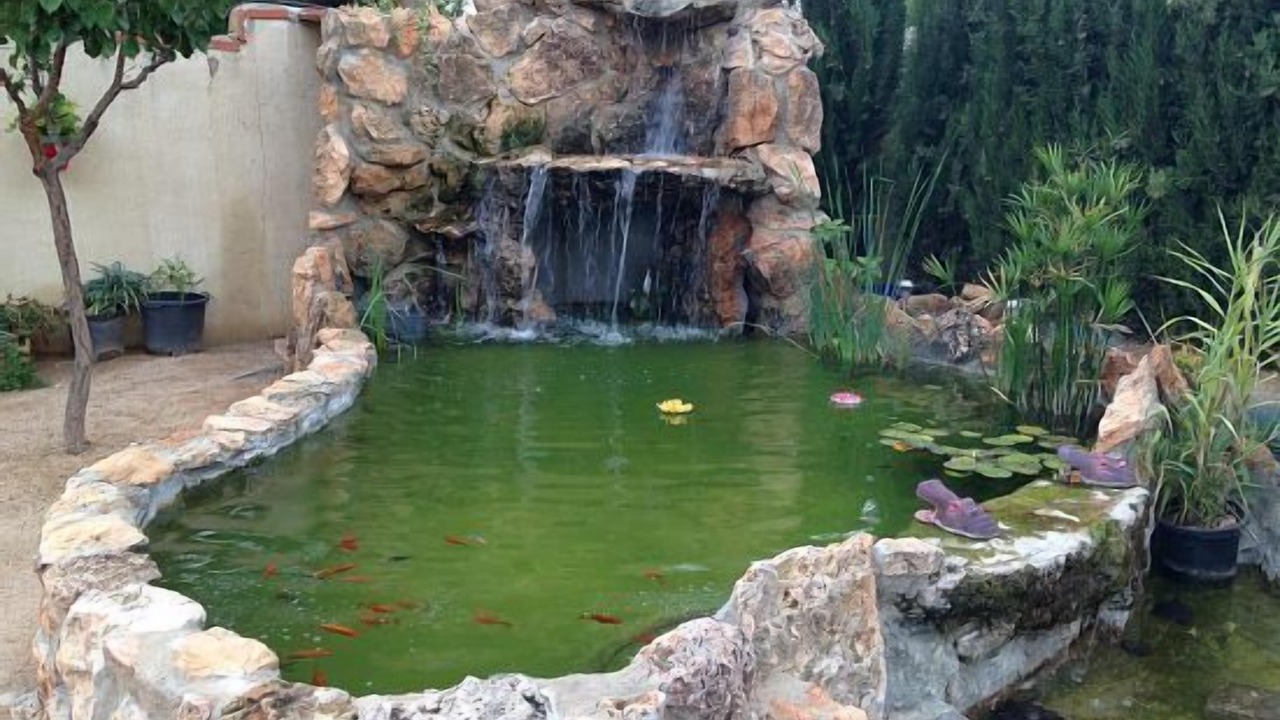 Photo of Outdoor in Casas de Benitez