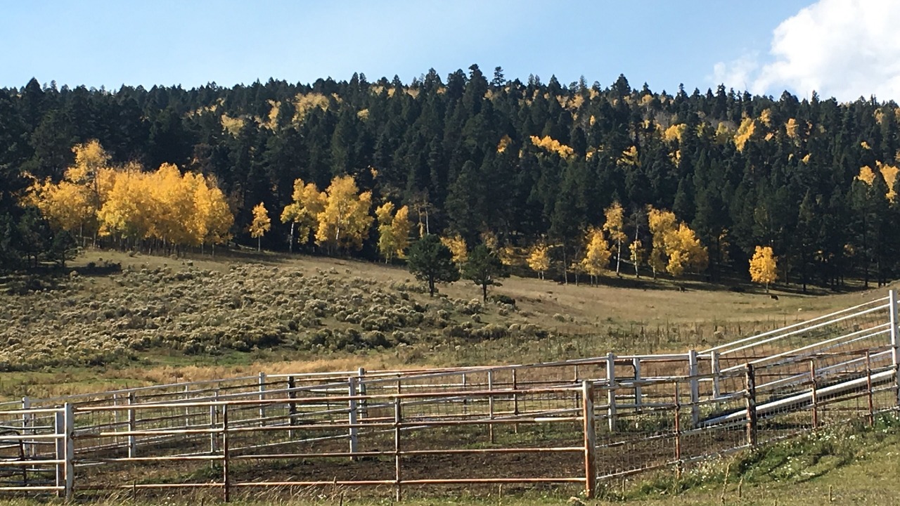 Photo of Others in Angel Fire