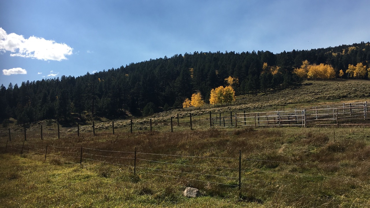 Photo of Others in Angel Fire