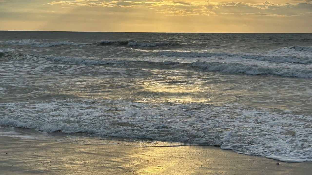 Photo of Others in Cocoa Beach