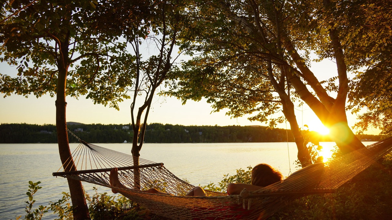 Photo of Others in Westmore