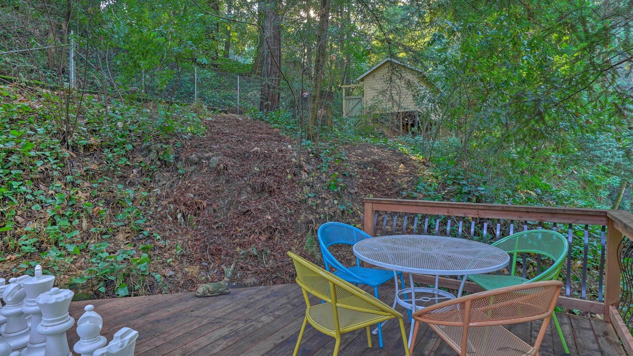 Photo of Outdoor in Ben Lomond