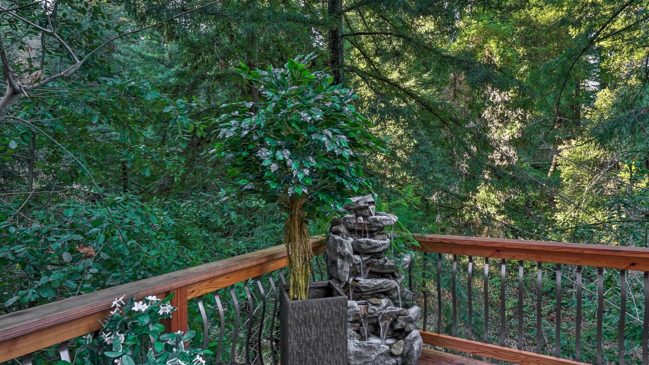 Photo of Outdoor in Ben Lomond