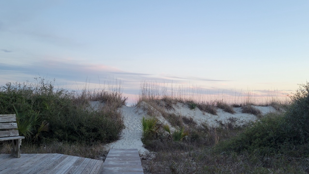 Photo of Others in West Beach