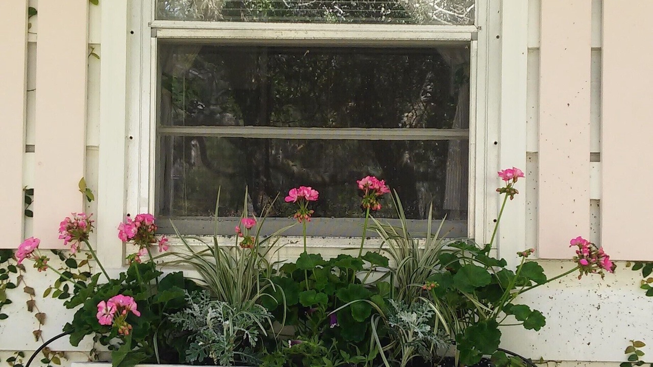 Photo of Outdoor in West Beach