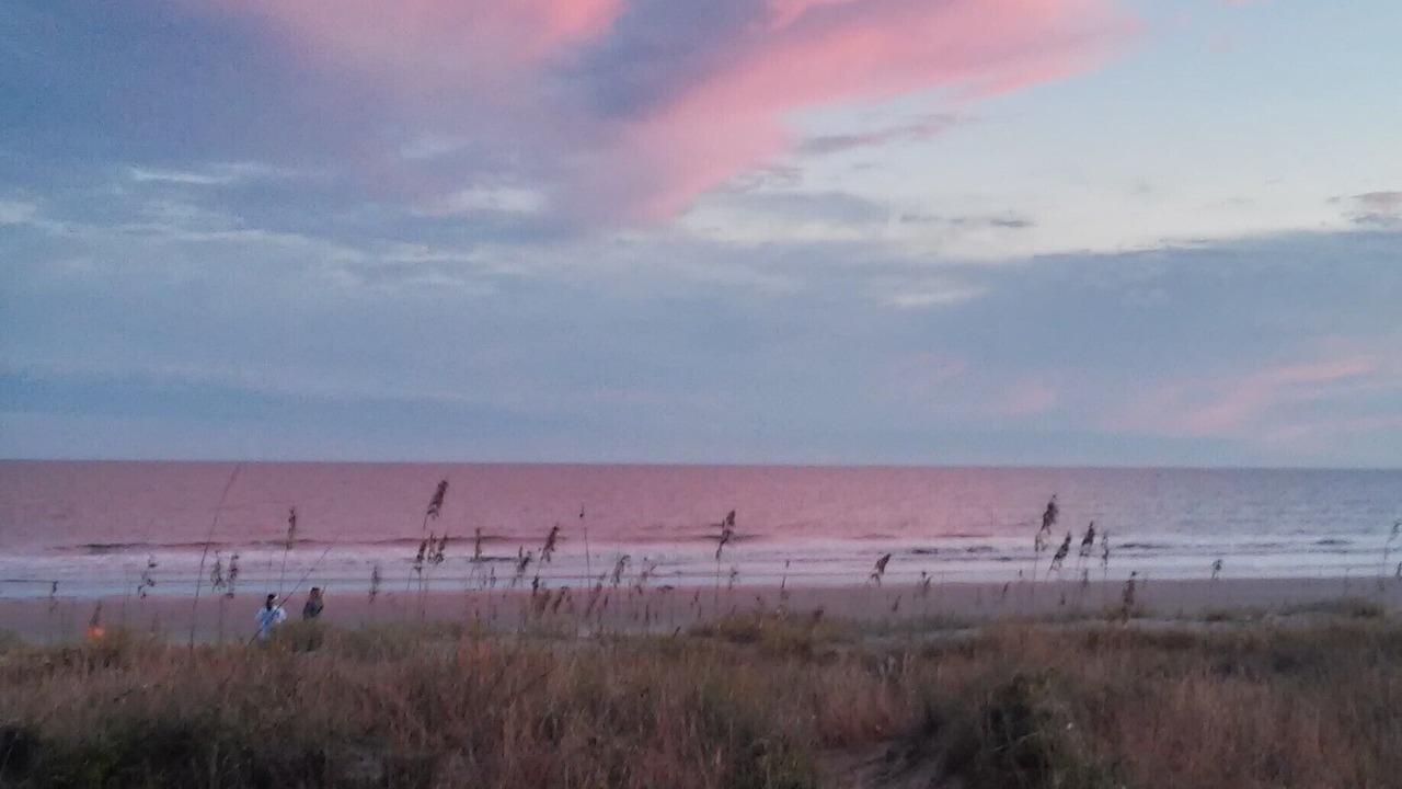 Photo of Others in West Beach