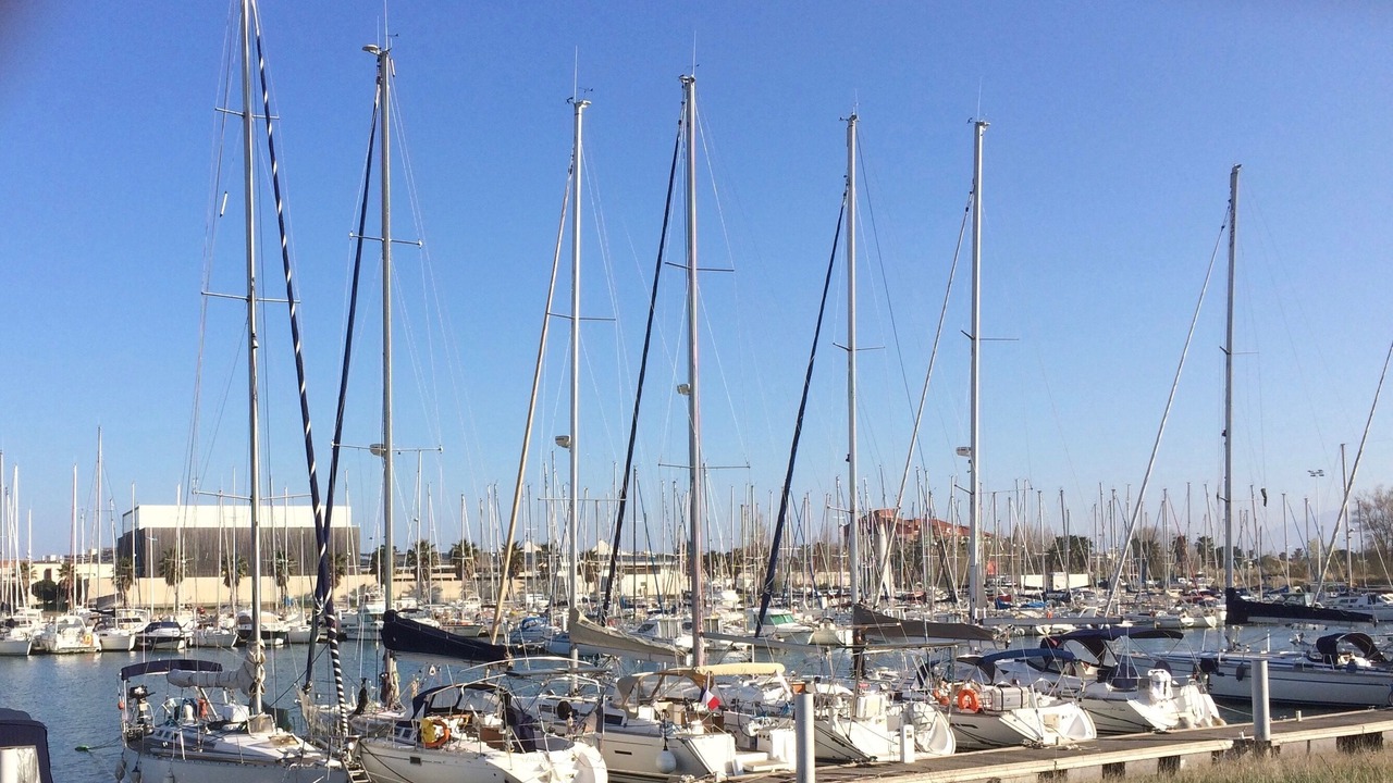 Photo of Others in La Jetee