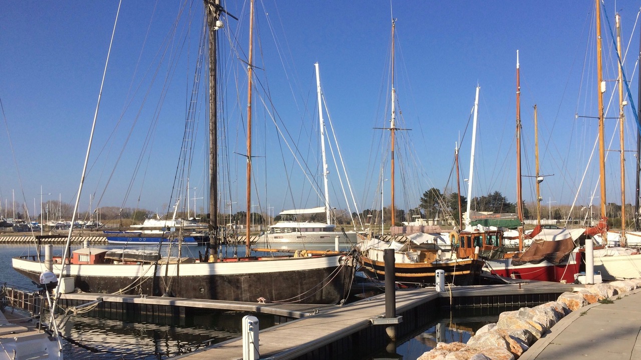 Photo of Others in La Jetee