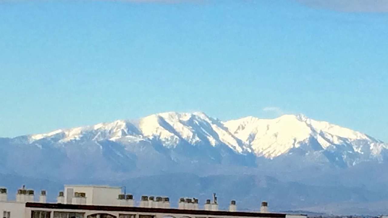 Photo of Others in La Jetee