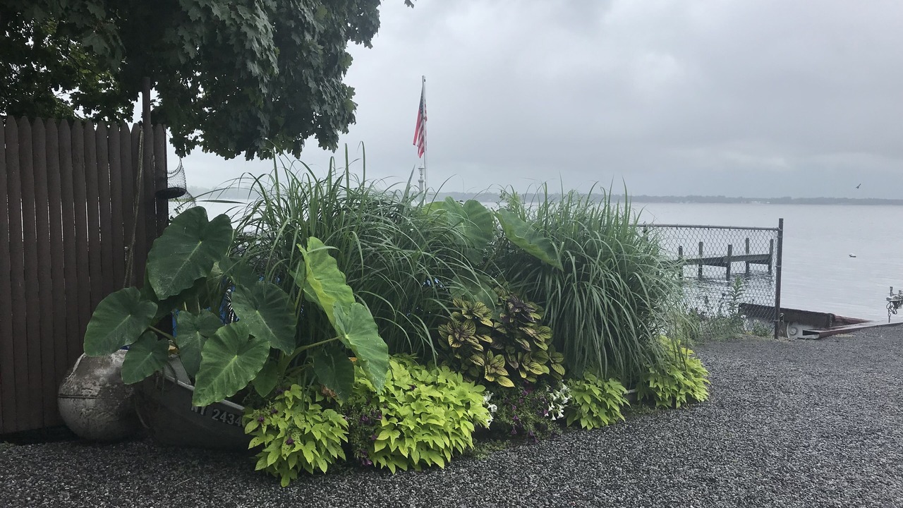 Photo of Outdoor in North Bay