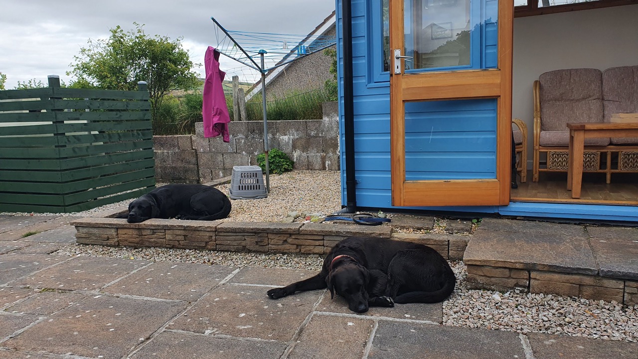 Photo of Others in Banff