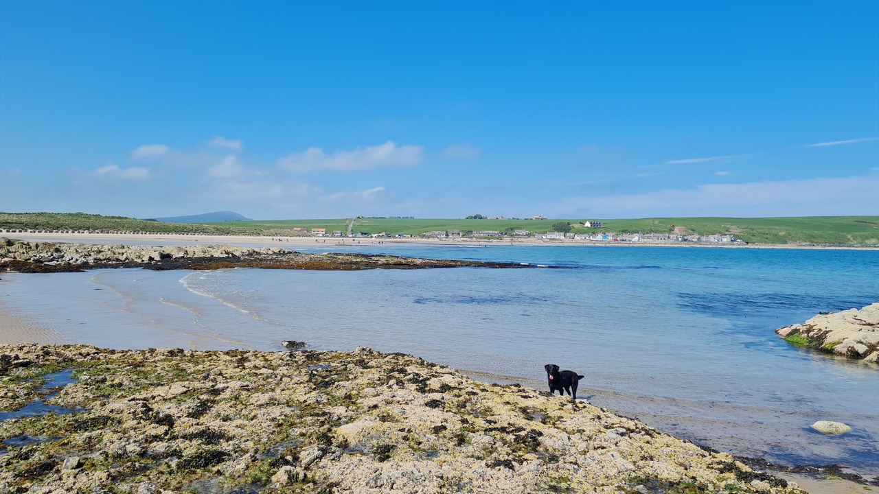 Photo of Others in Banff