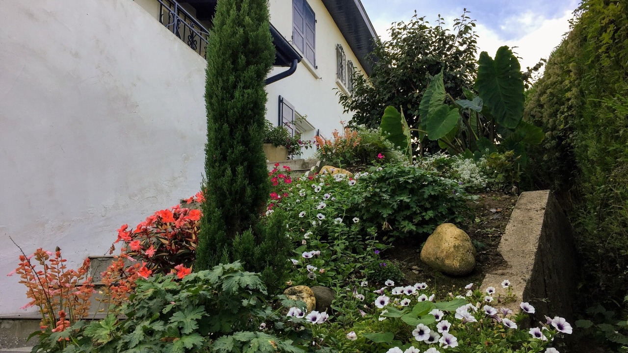Photo of Outdoor in Bassussarry