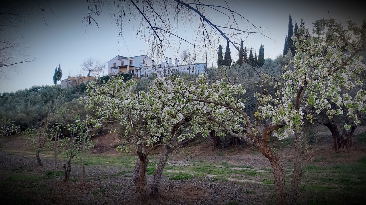Photo of Outdoor in Villacarrillo