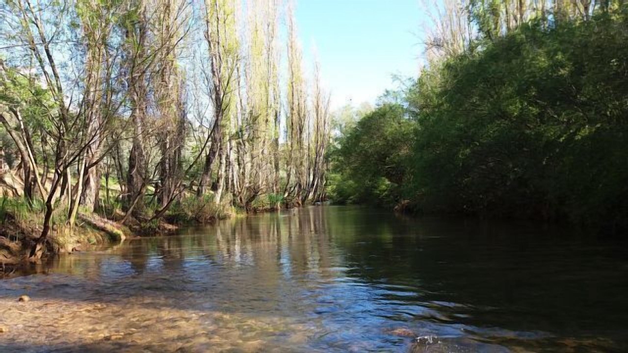 Photo of Others in Villacarrillo