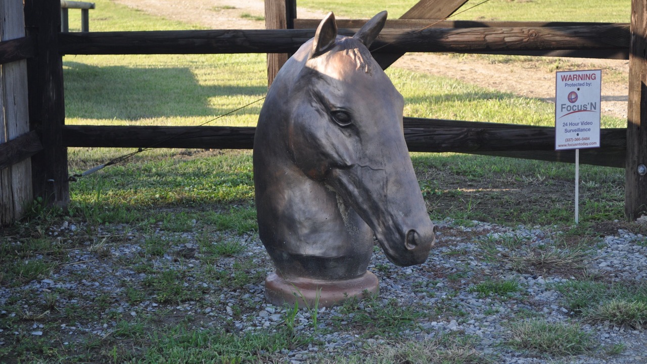 Photo of Others in Scott