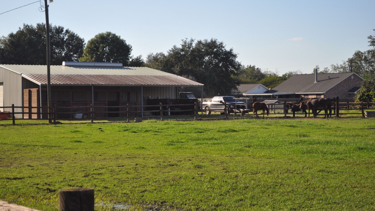 Photo of Outdoor in Scott