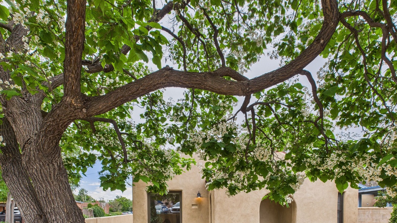 Photo of Others in Downtown Santa Fe