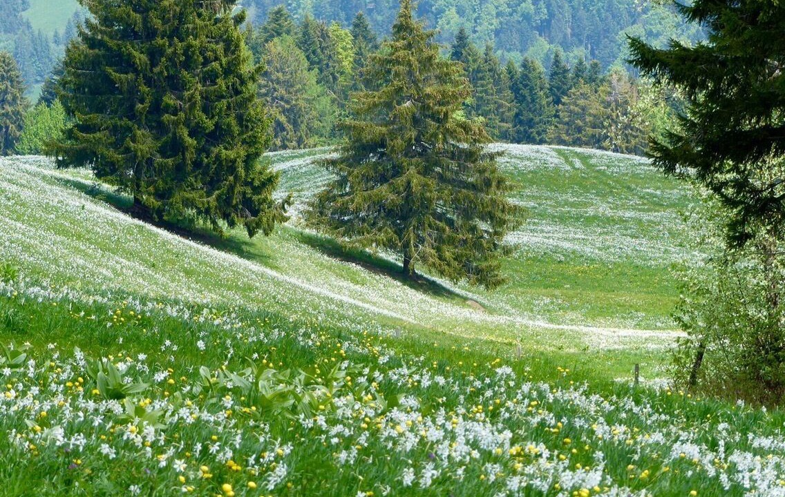 Photo of Others in Blonay
