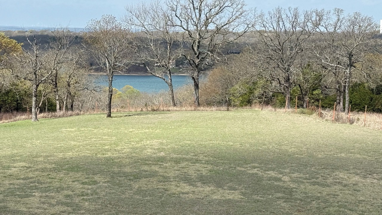 Photo of Others in Sulphur