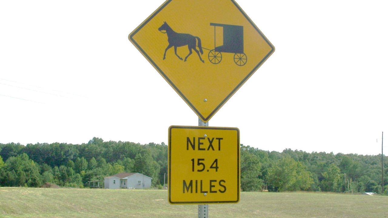 Photo of Others in Pamplin