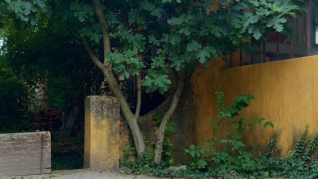 Photo of Outdoor in Mormoiron