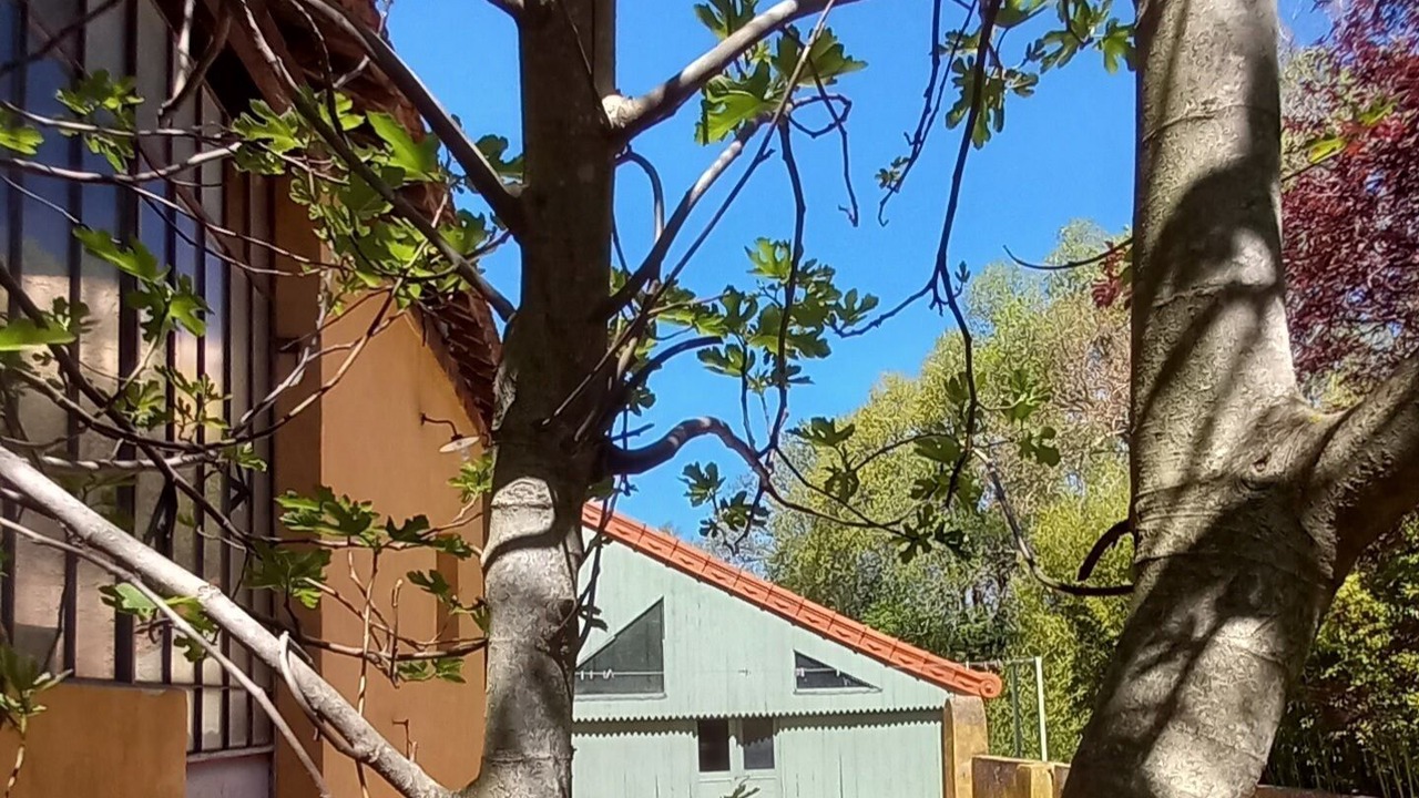 Photo of Outdoor in Mormoiron