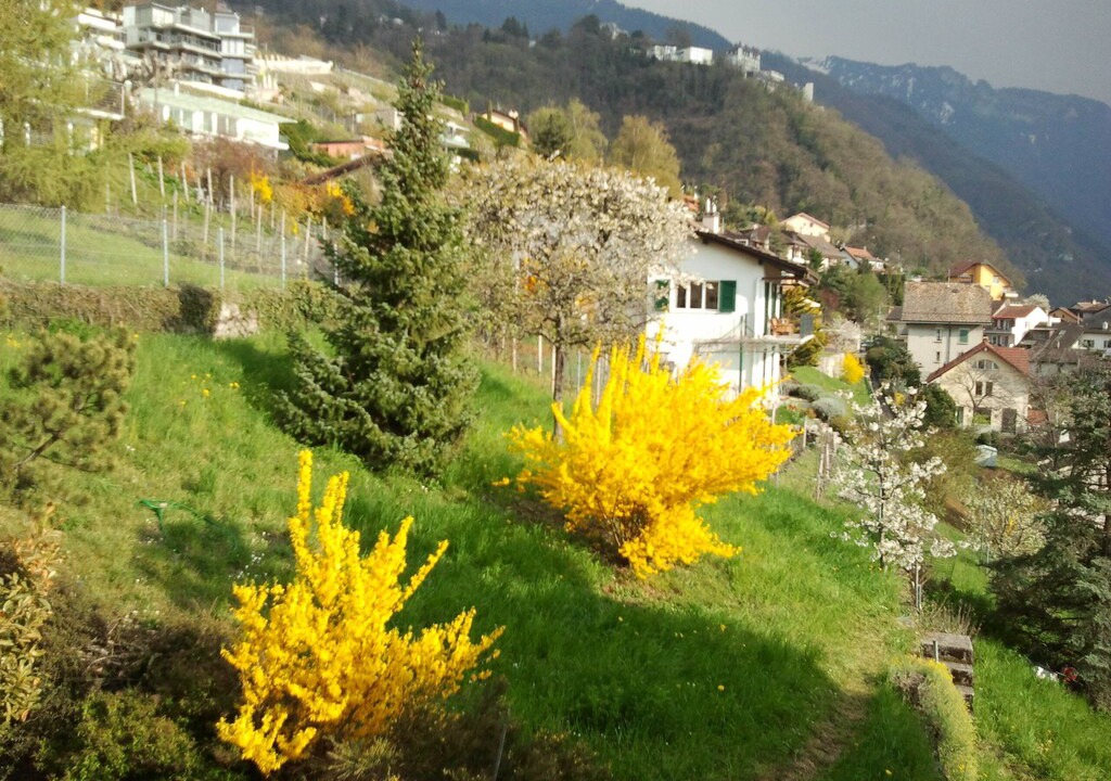 Photo of Others in Montreux