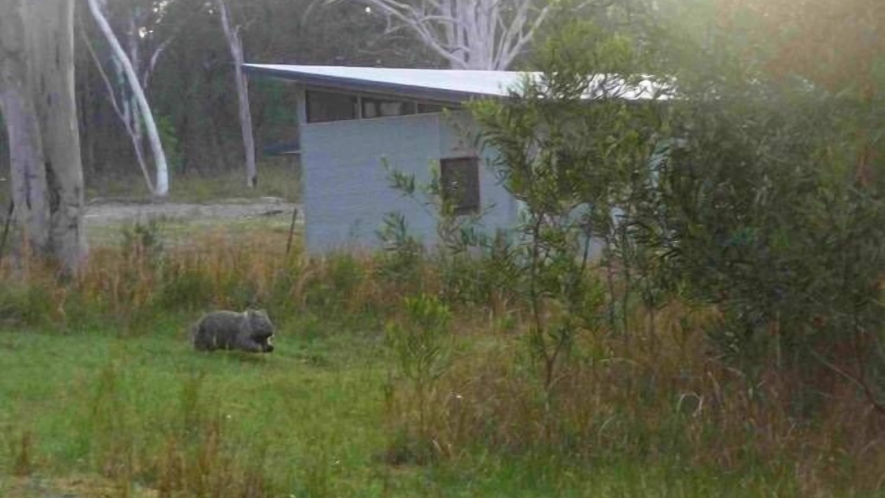 Photo of Outdoor in Kangaroo Valley