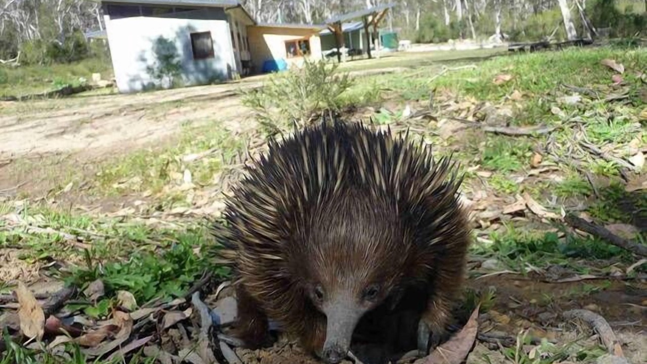 Photo of Outdoor in Kangaroo Valley