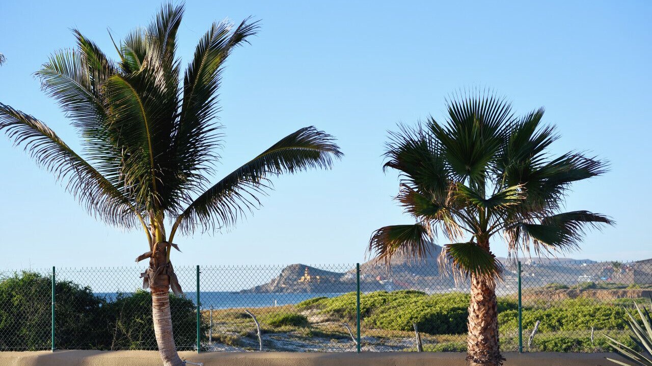 Photo of Others in Cerritos