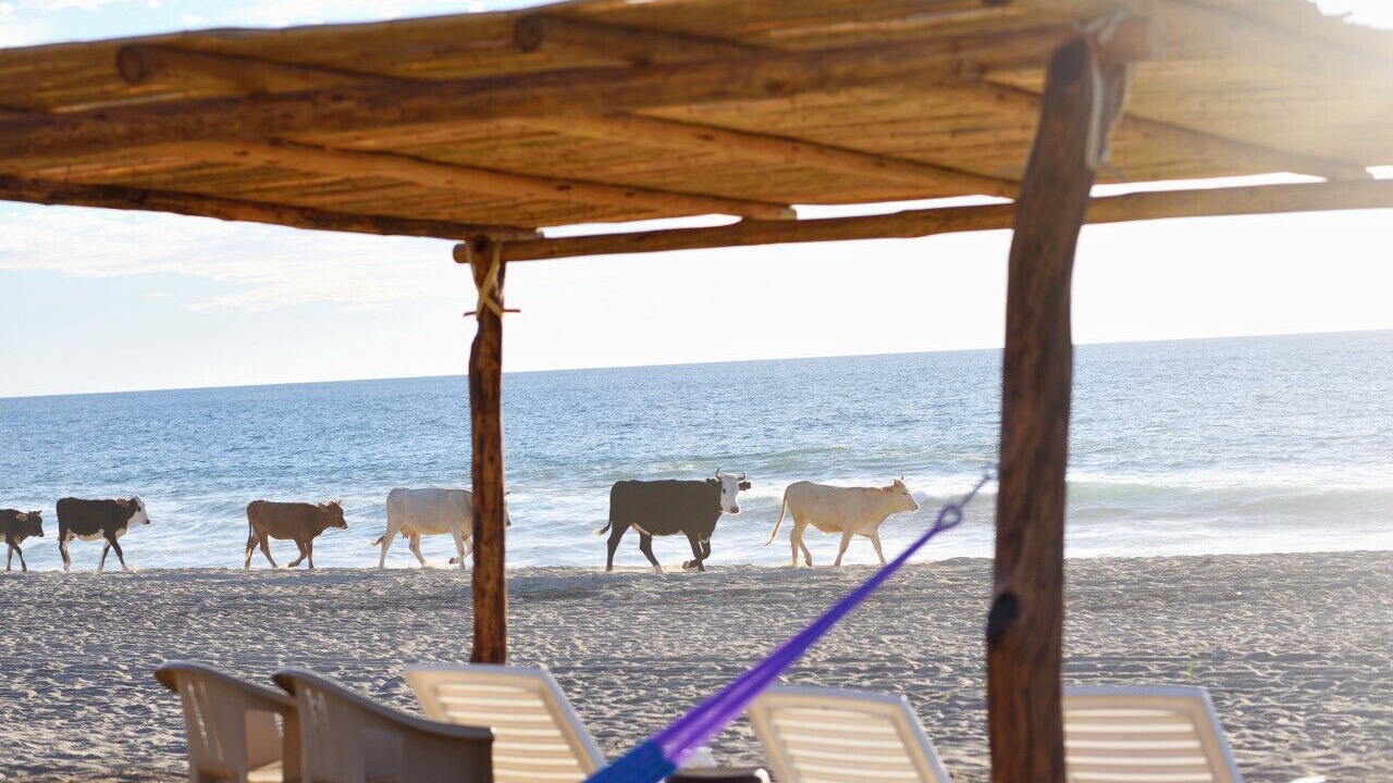 Photo of Others in Cerritos