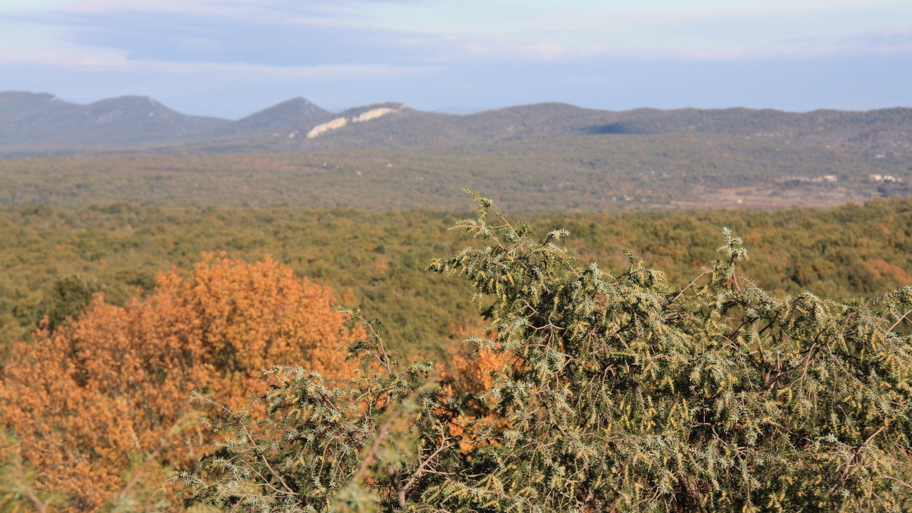 Photo of Outdoor in Courry