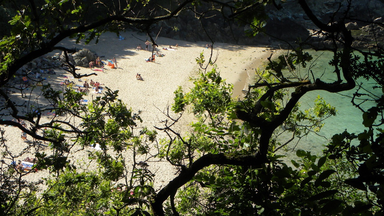 Photo of Others in Plestin-les-Greves