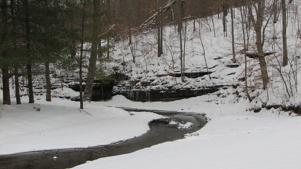 Photo of Others in Goodlettsville