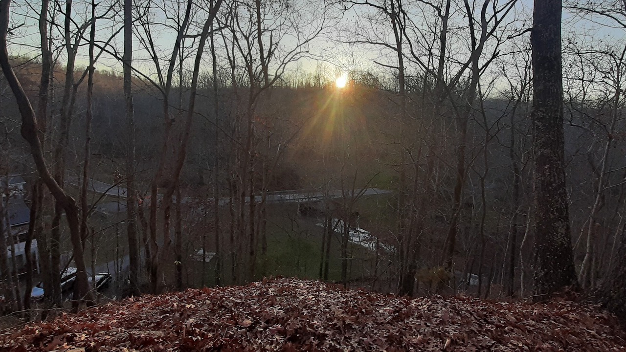 Photo of Others in Goodlettsville