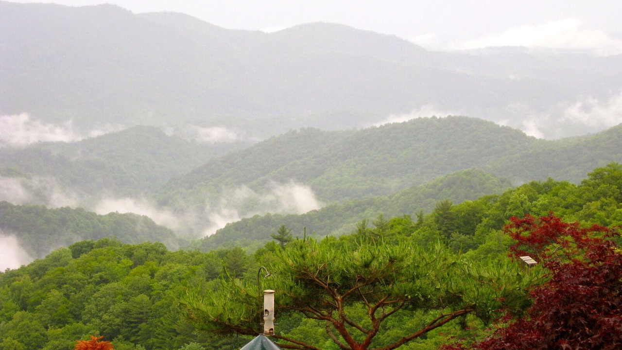 Photo of Others in Bamboo