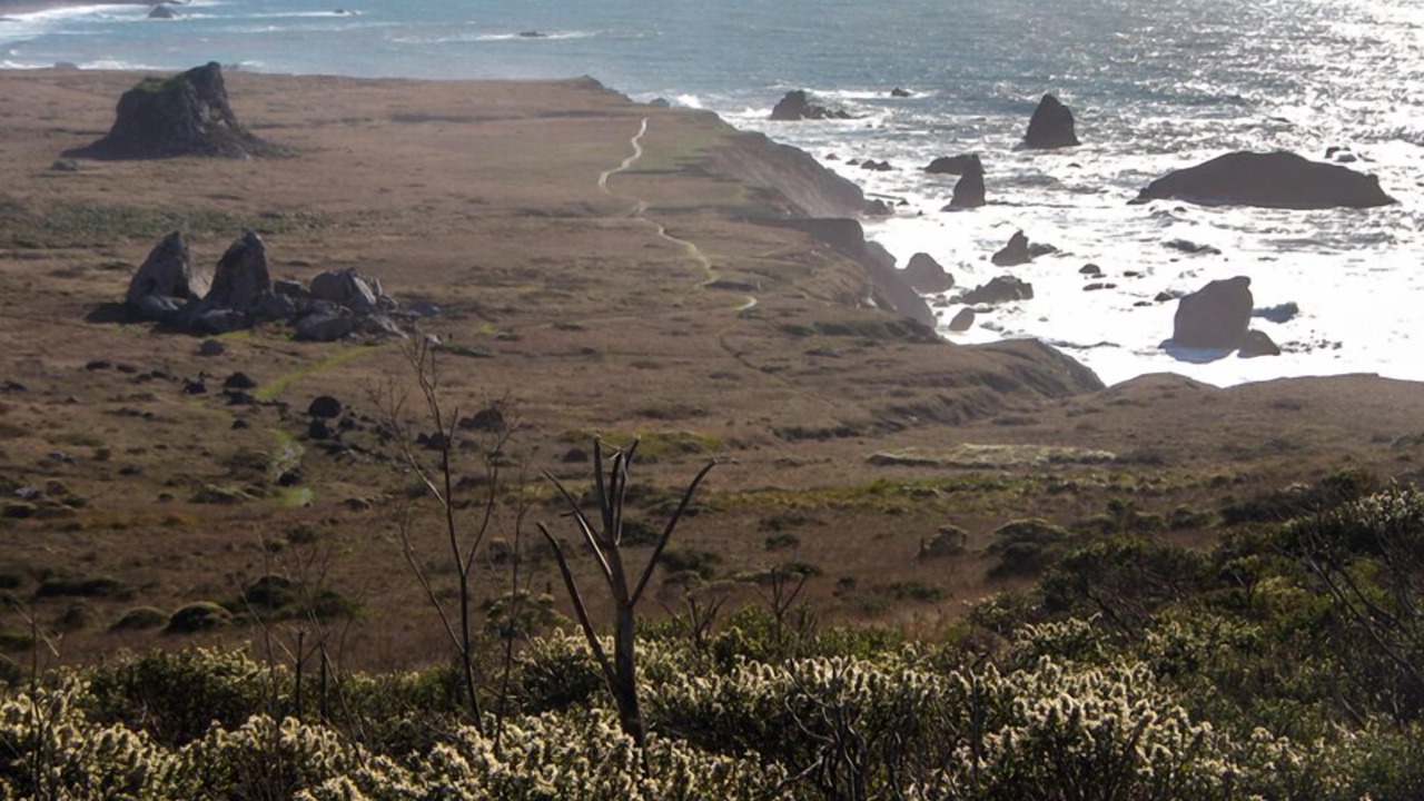 Photo of Others in Occidental