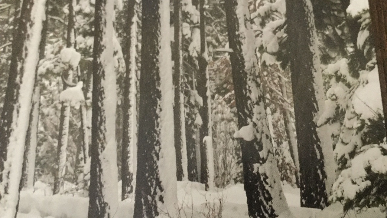 Photo of Others in Truckee