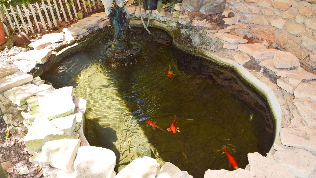 Photo of Outdoor in Rio Vista